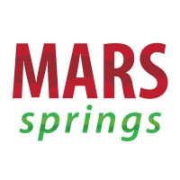 Mars Springs